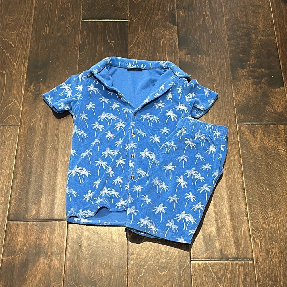 Andy & Evan terry cloth palm tree shorts and top